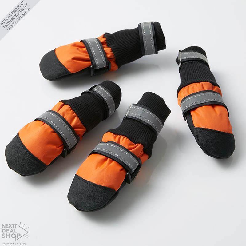 Botas para Animais de Estimação